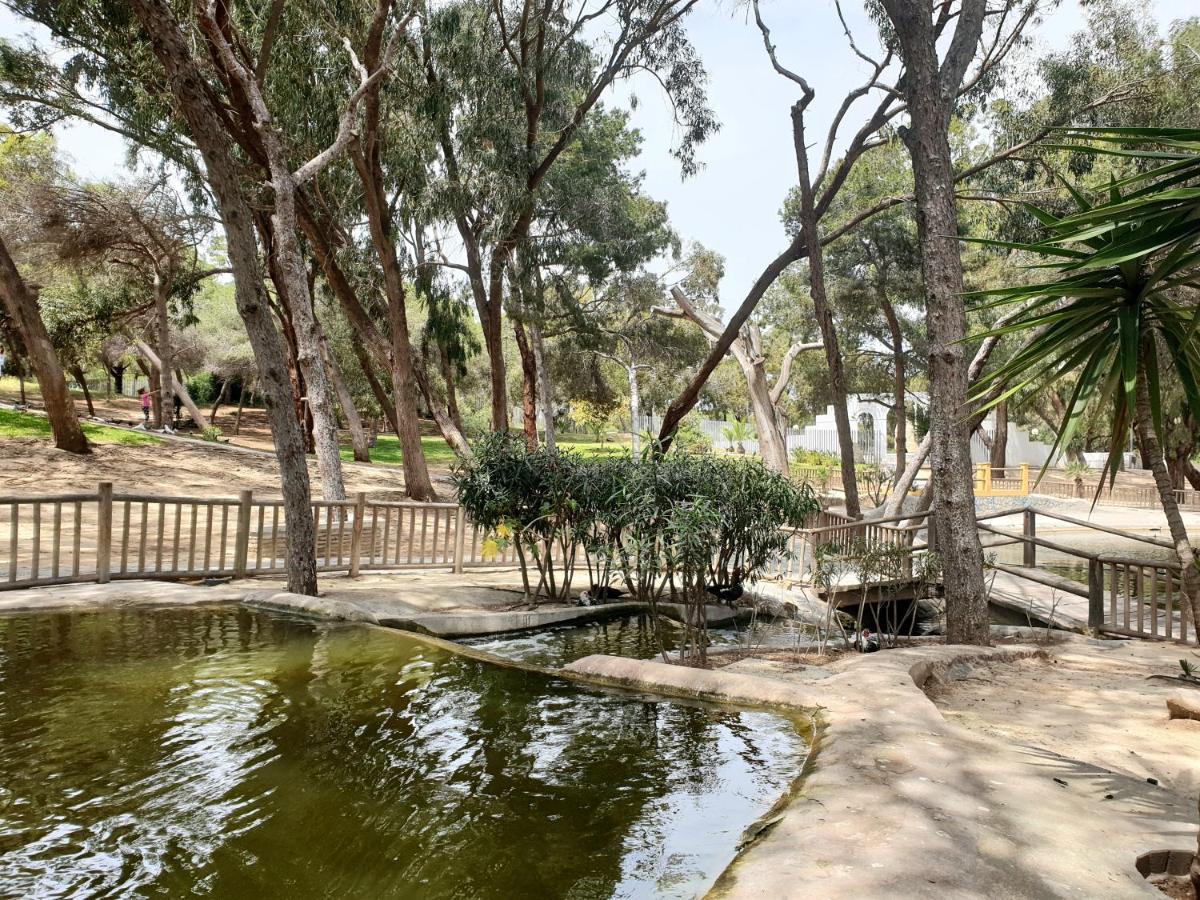 Apartamento Parque Sur Guardamar del Segura Exteriér fotografie